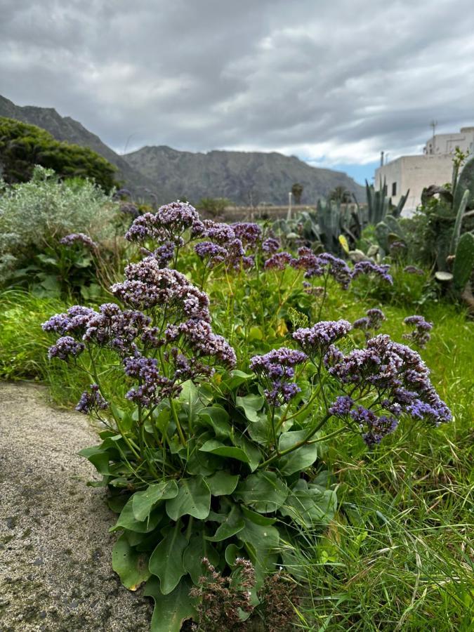 Aventura En Buenavista del Norte Kültér fotó