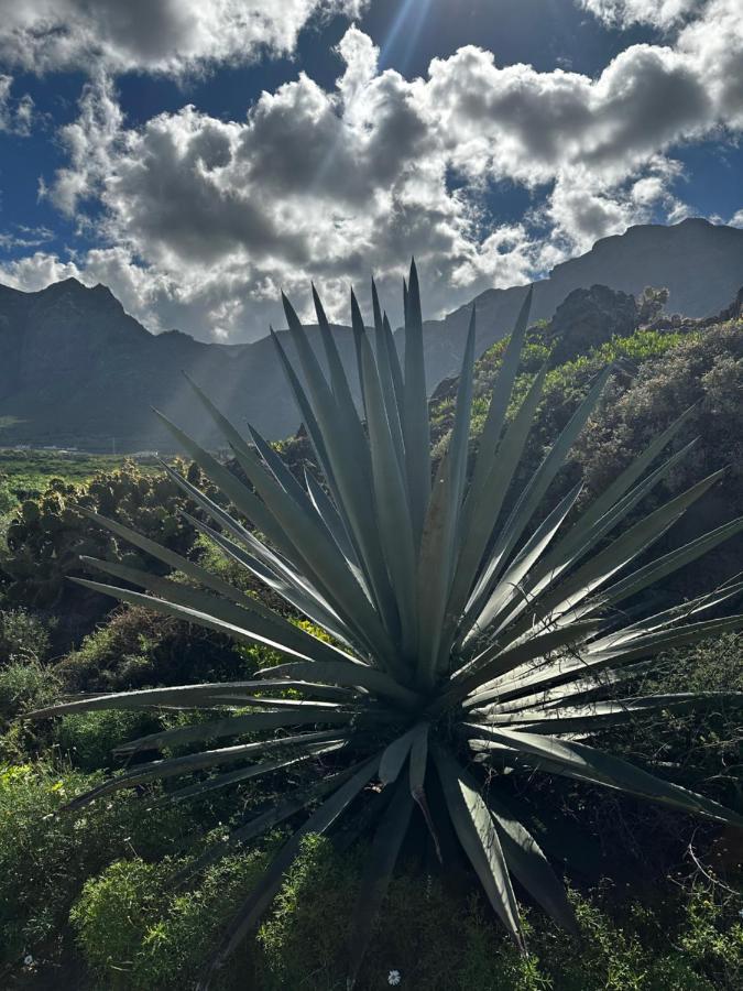 Aventura En Buenavista del Norte Kültér fotó